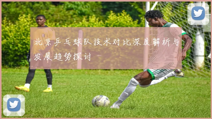 北京乒乓球队技术对比深度解析与发展趋势探讨
