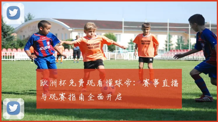 欧洲杯免费观看懂球帝:赛事直播与观赛指南全面开启