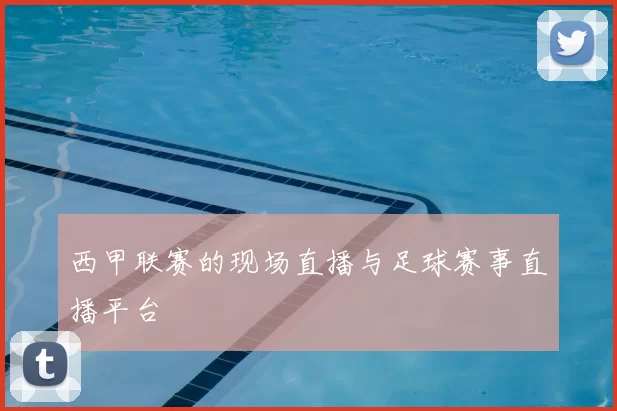 西甲联赛的现场直播与足球赛事直播平台