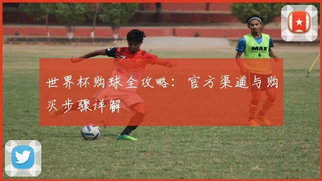 世界杯购球全攻略:官方渠道与购买步骤详解