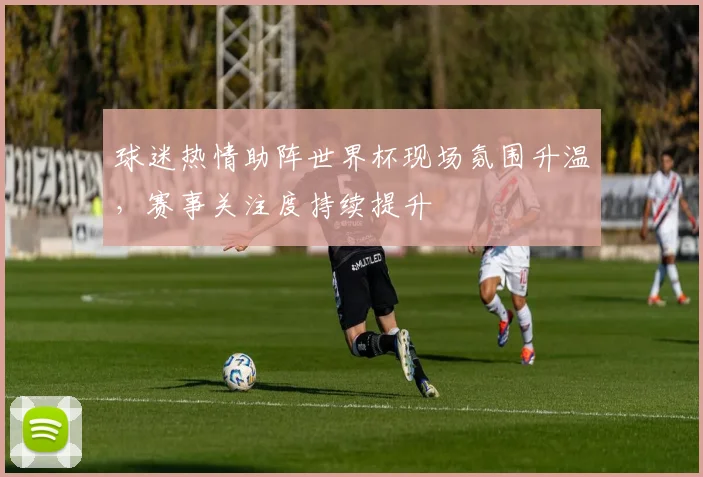 球迷热情助阵世界杯现场氛围升温,赛事关注度持续提升