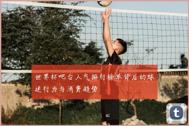 世界杯吧台人气排行榜单背后的球迷行为与消费趋势