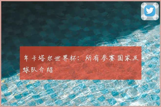 年卡塔尔世界杯:所有参赛国家及球队介绍