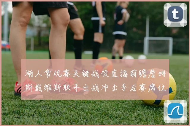 湖人常规赛关键战役直播前瞻詹姆斯戴维斯联手出战冲击季后赛席位