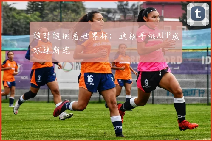 随时随地看世界杯:这款手机APP成球迷新宠