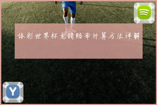 体彩世界杯竞猜赔率计算方法详解