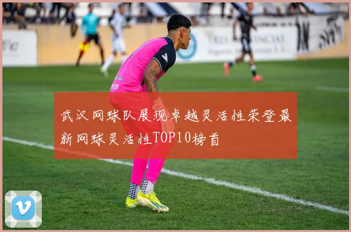 武汉网球队展现卓越灵活性荣登最新网球灵活性TOP10榜首