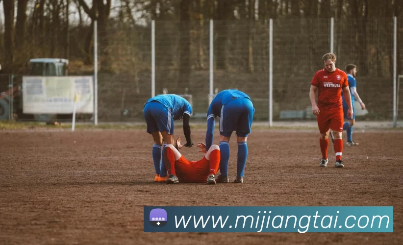 球盟会服务体系